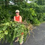 Mariana_Tree_of_Heaven