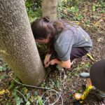 bc8d71ea 4288 47f1 82ae 2abab7a655d6