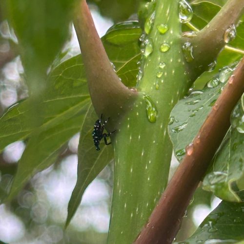 901db4b4 eab5 4296 997c c72b1fb07b32 2